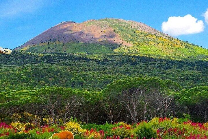 Pompeii and Mount Vesuvius Private Day Tour from Rome