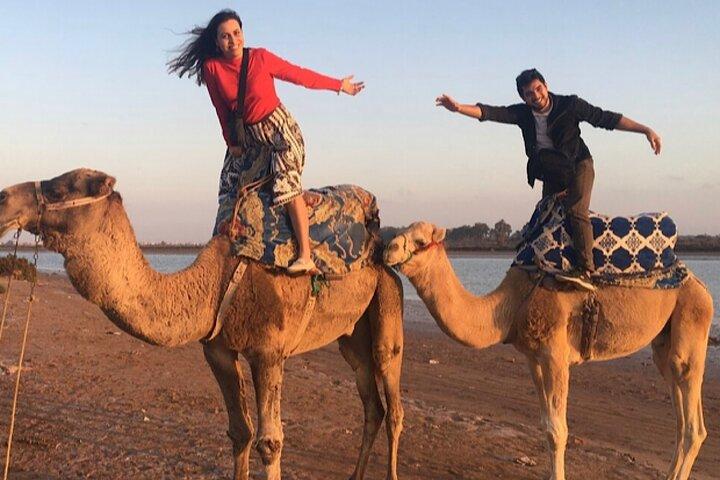 From Agadir: Camel Ride Flamingo River with Moroccan cakes & Tea