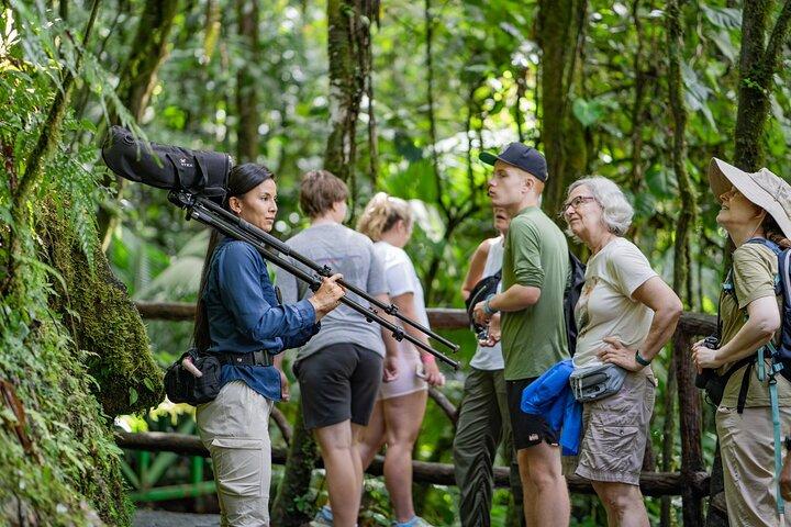La Fortuna: Mistico Park Hanging Bridges Guided Tour