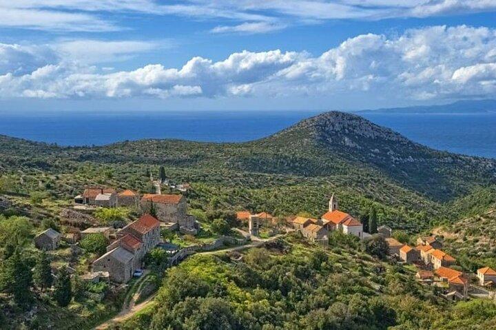 Hvar: Island tour with Wine and Olive Oil Tasting