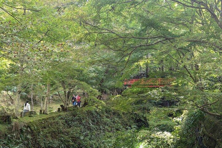 Rural Kyoto One Day Tour of a Tranquil Landscape in Ohara