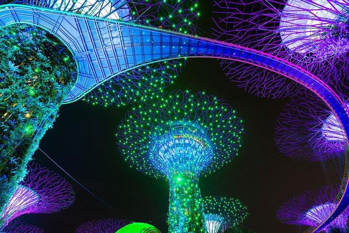 Singapore River Cruise, Light Shows and Twilight Tour
