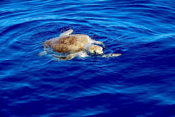 Kayak and Snorkeling Tour in Manuel Antonio