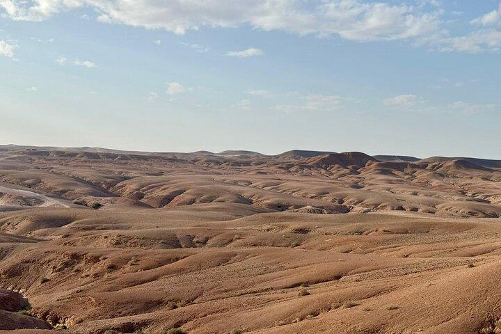 QUAD&CAMEL Desert Experiences & berber tea break
