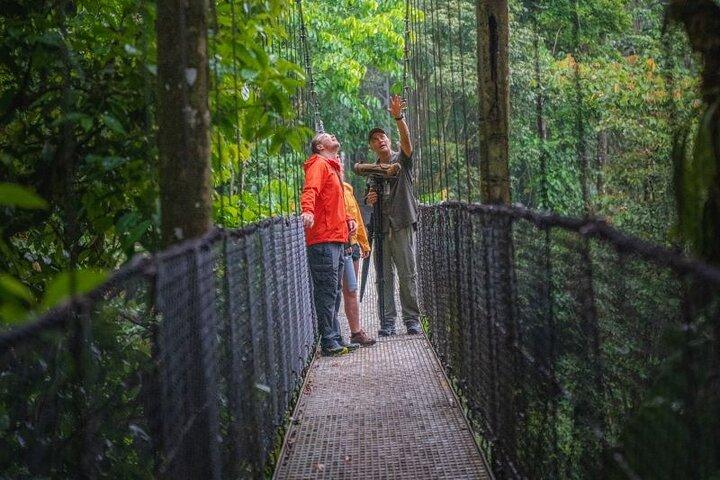 La Fortuna: Mistico Park Hanging Bridges Guided Tour