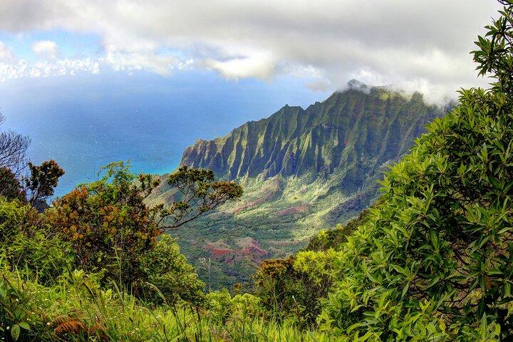 Kauai Private Guided Tour to Waimea Canyon from Nawiliwili