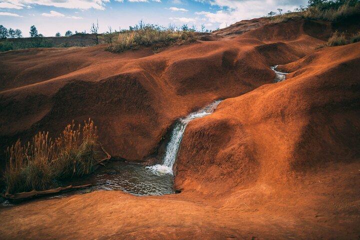 Kauai Private Guided Tour to Waimea Canyon from Nawiliwili