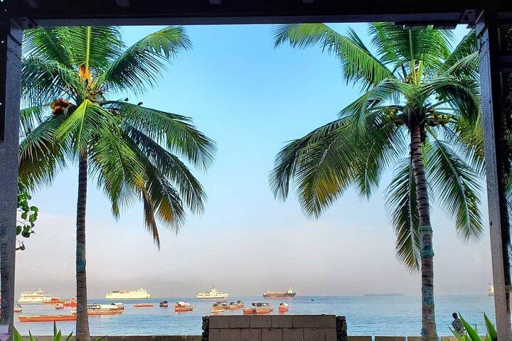 Explore the Whole Zanzibar Island in One Day
