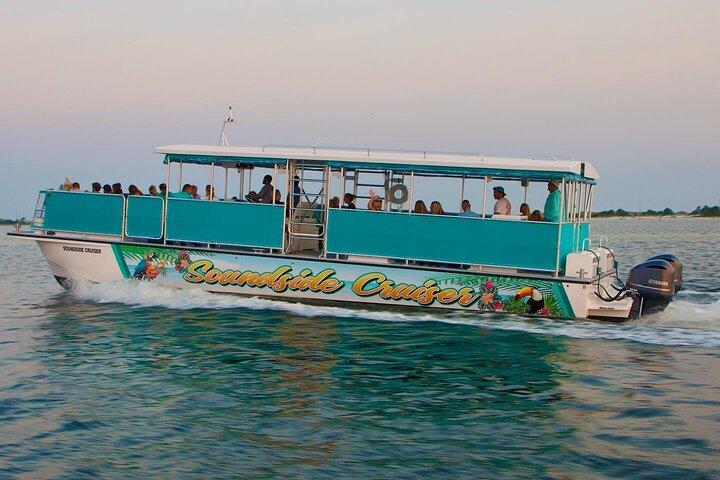 Soundside Cruiser Morning Snorkel & Dolphin Adventure