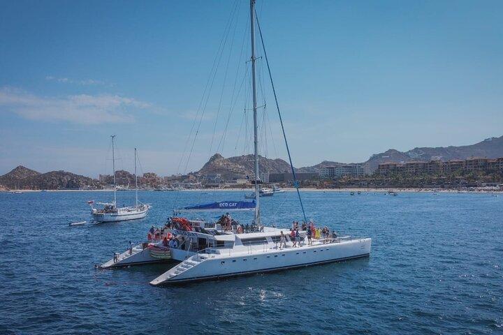 Luxury Multimillion Yacht Whale Watching Sunset Tour