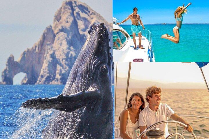 Luxury Multimillion Yacht Whale Watching Sunset Tour