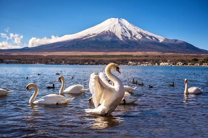 Mt Fuji/Hakone/Yokohama Tokyo customize Private Tour