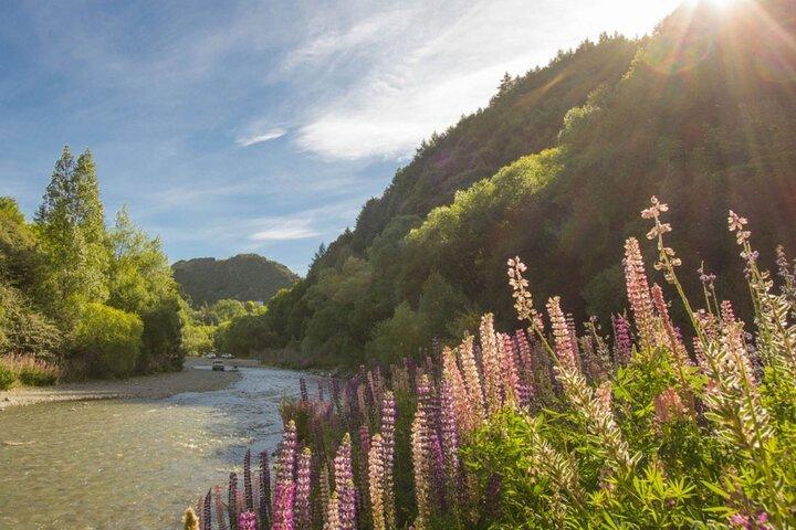 Bike & Wine Tour: Arrowtown to Valley of the Vines