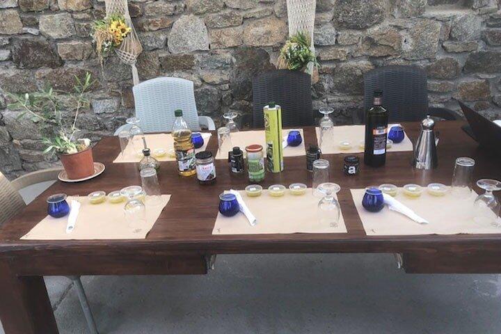 Olive Oil Tasting at the Mykonian Farm