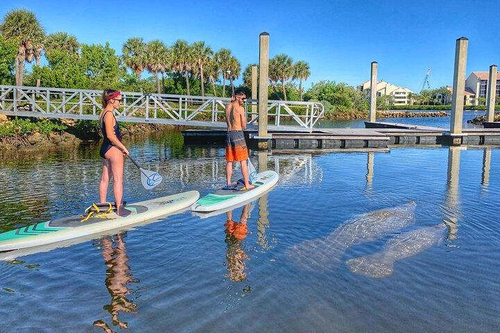 Paddle Boarding Eco Adventure Tour Jupiter Florida - Singer Island
