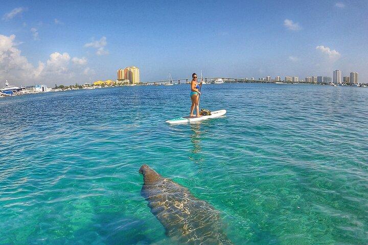 Private Paddle Boarding Activity to Peanut Island