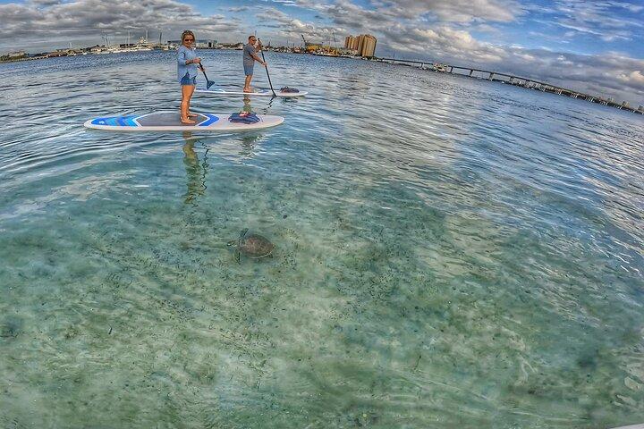 Private Paddle Boarding Activity to Peanut Island