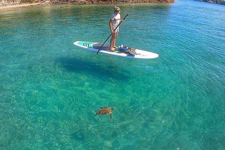 Private Paddle Boarding Activity to Peanut Island