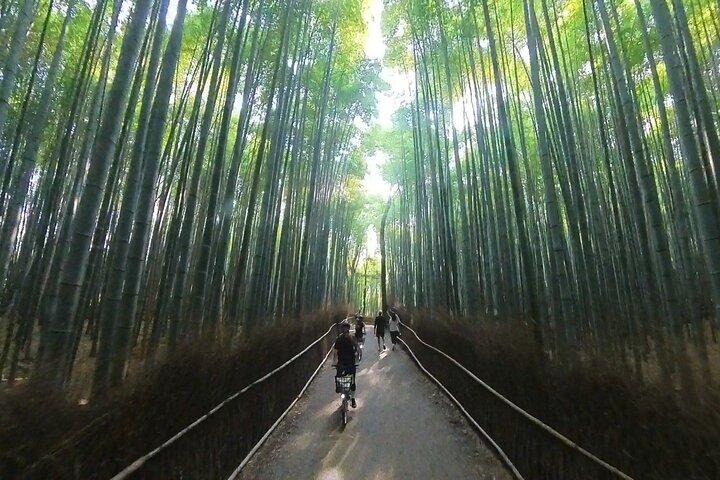 ONLY YOU in the Bamboo Forest! 4 hours E-bike tour with a local