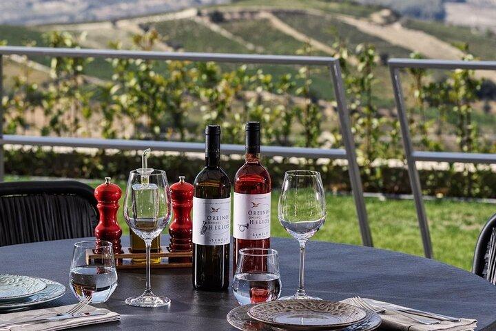 Discover Greek Wine Country: Meal and Wine Tasting at Wine Estate