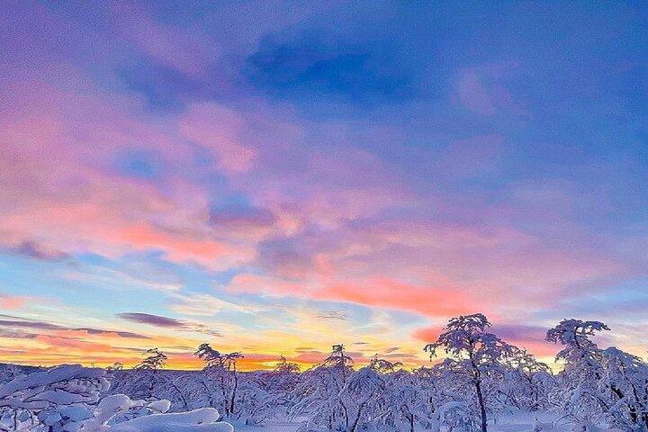 Evening tour: Sledding, mini skiing, lasso and reindeer hides