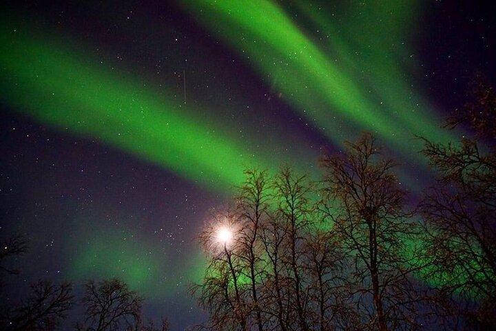 Evening tour: Sledding, mini skiing, lasso and reindeer hides