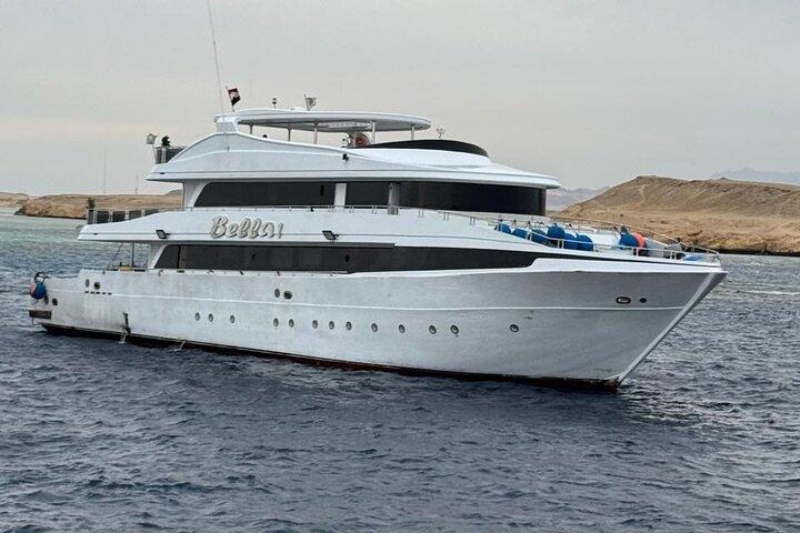 Dolphin House Snorkeling Adventure at Samadai Reef – Marsa Alam