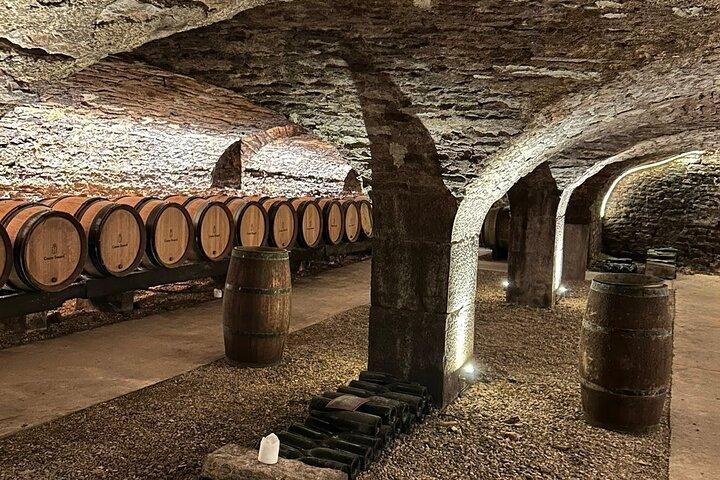 Beaune & Burgundy Vineyards Private Day Trip from Lyon