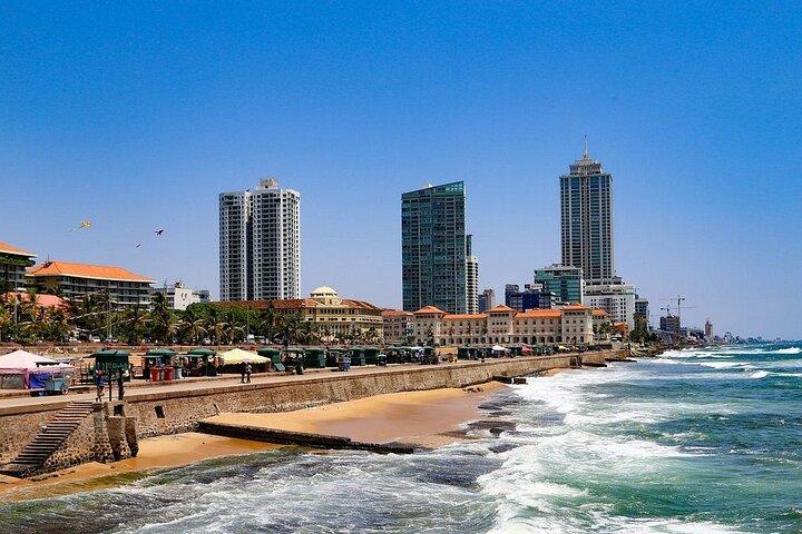 Muthurajawela Bird Sanctuary & Colombo City Private Day Tour