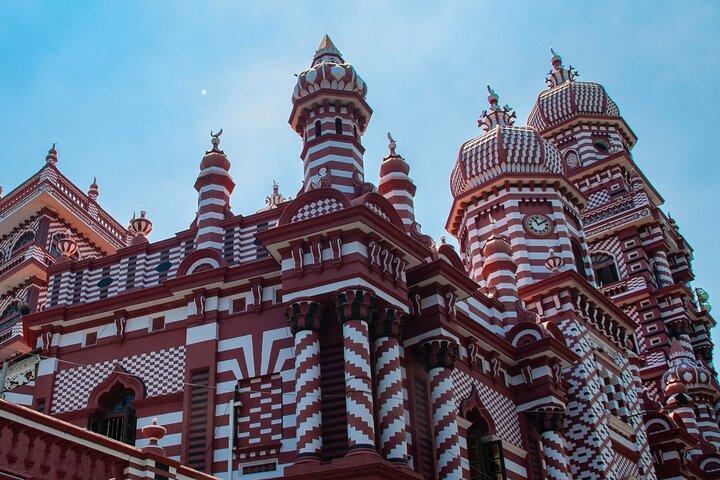 Muthurajawela Bird Sanctuary & Colombo City Private Day Tour