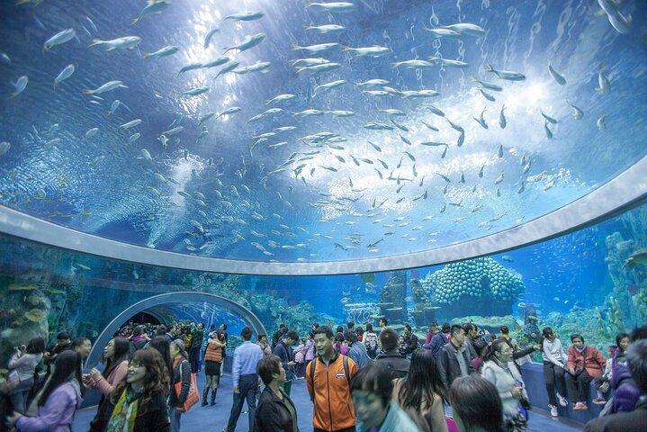 Cam Ranh Nha Trang 4 Days Tour with City, Vinwonder and 4 Islands
