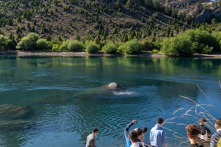 Journey through Bariloche: Circuito Grande Experience