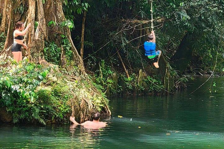 El Yunque Rainforest Tour with San Juan Transportation