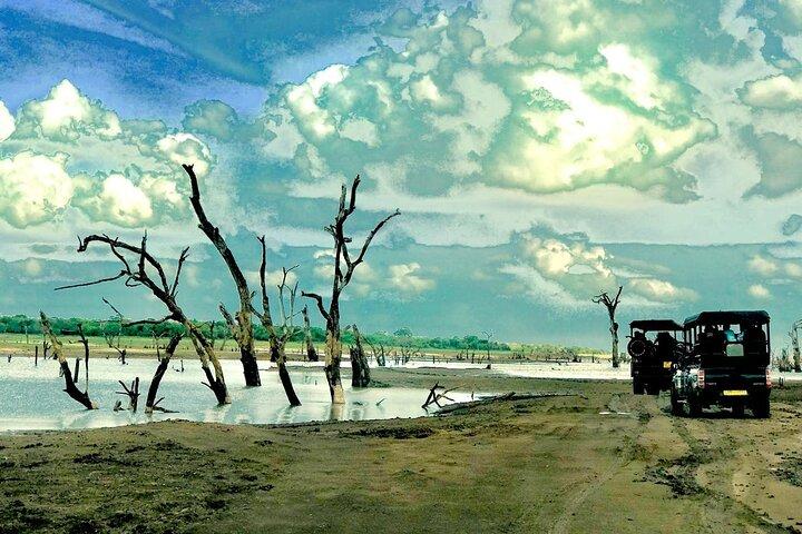 Ultimate 8-Day Sri Lanka Adventure: Private Guided Tour