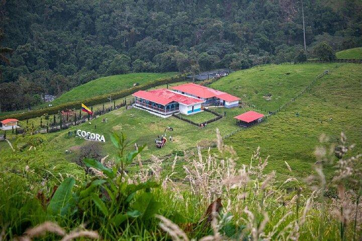 Cocora Valley Hiking Tour with Lunch