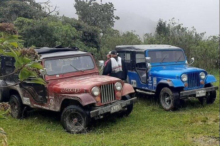 Cocora Valley Hiking Tour with Lunch