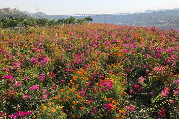Private Statue of Unity Tour From Ahmedabad
