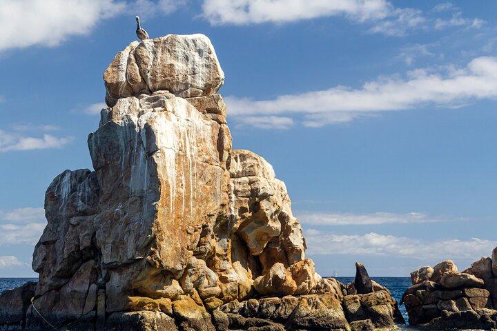 Experience the Clear Boat adventure & Cabo San Lucas City Tour