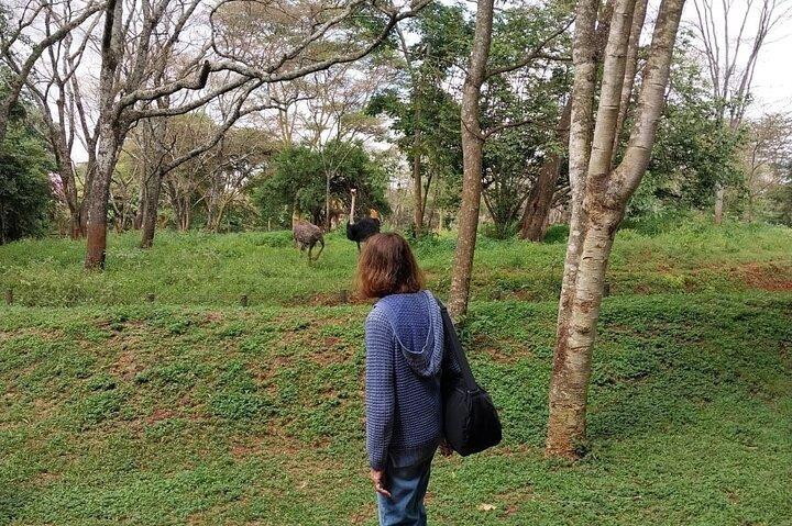 Explore Nairobi City Tour with Highlights