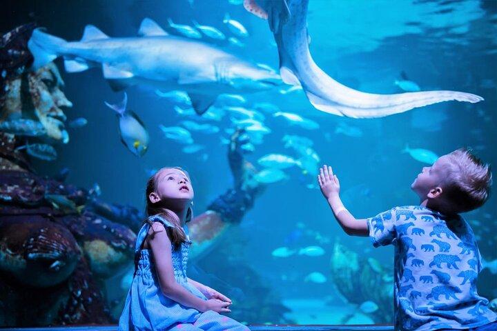 Aquaria Phuket Ticket Top Aquarium Attraction Experience