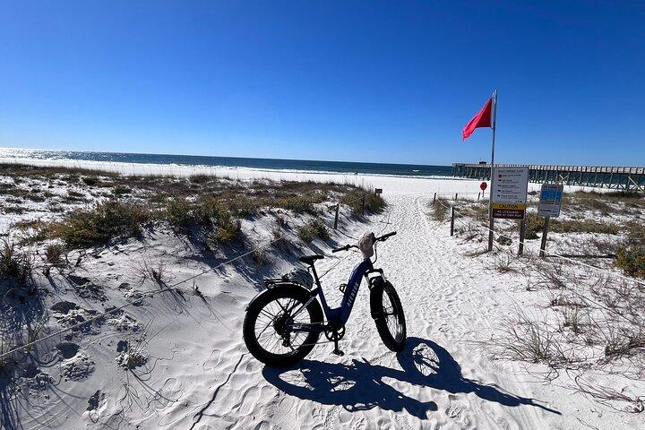 State Park E-Bike Tour: Alligators, Pier, & More [SELF-GUIDED]