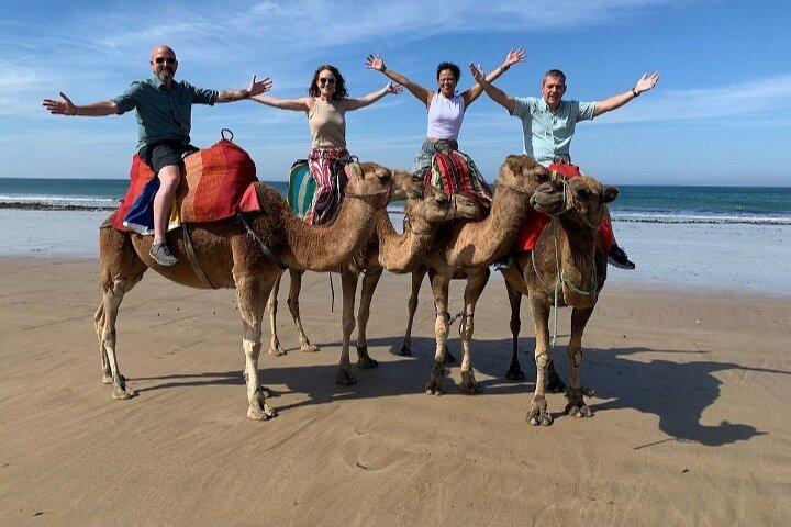 Private Day Trip to Tetouan and Sightseeing of Tangier