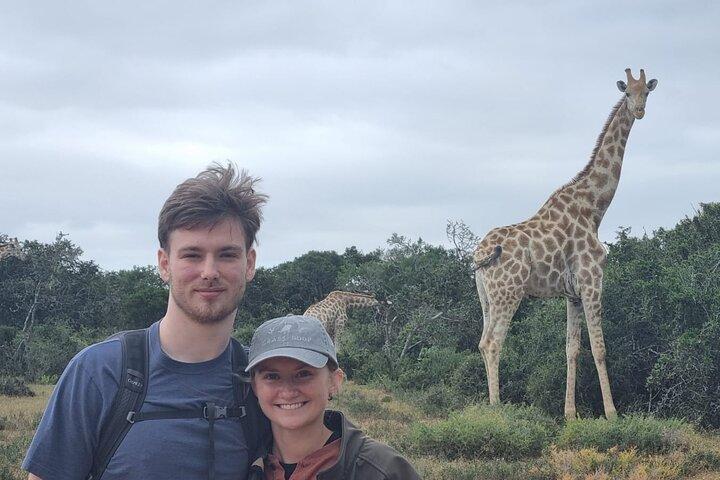 Full-Day Schotia Game Reserve & Giraffe Walk (Open 4x4 Vehicle)