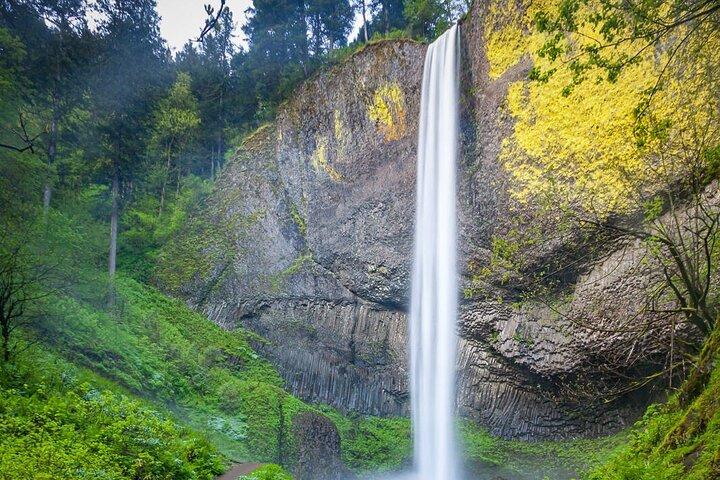 Private Tour of Multnomah Falls and Columbia Gorge