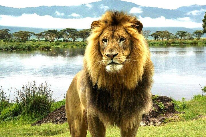 2 Day Tour to Lake Nakuru, Naivasha and Hell's Gate from Nairobi