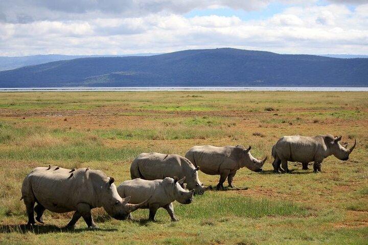 2 Day Tour to Lake Nakuru, Naivasha and Hell's Gate from Nairobi