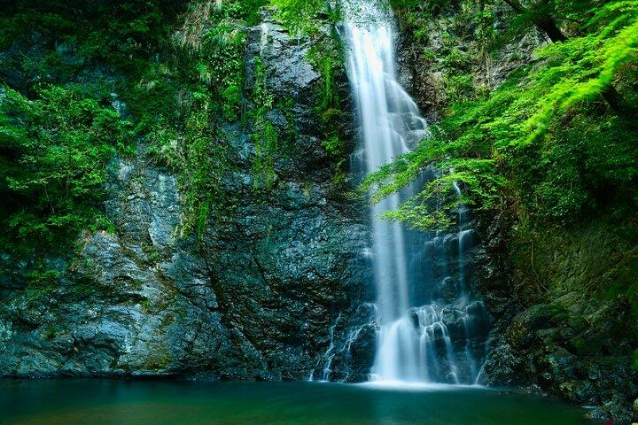 Osaka 8 Hours Tour Explore City and Minoh Falls