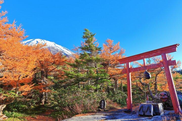 One Way Bus: Tokyo to Takayama via Oshino Hakkai