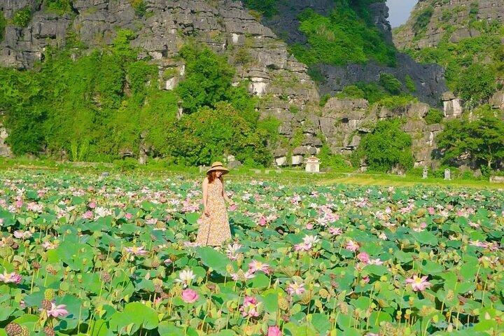 Full-Day Hoa Lu Tam Coc Or Trang An Tour