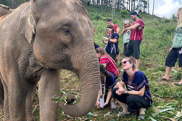 Private Tour Guide with Private Car